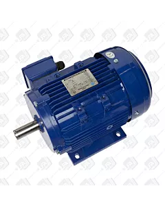 Electric Motor 118
